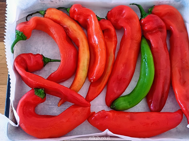 פלפלים קלויים בחומץ ושום