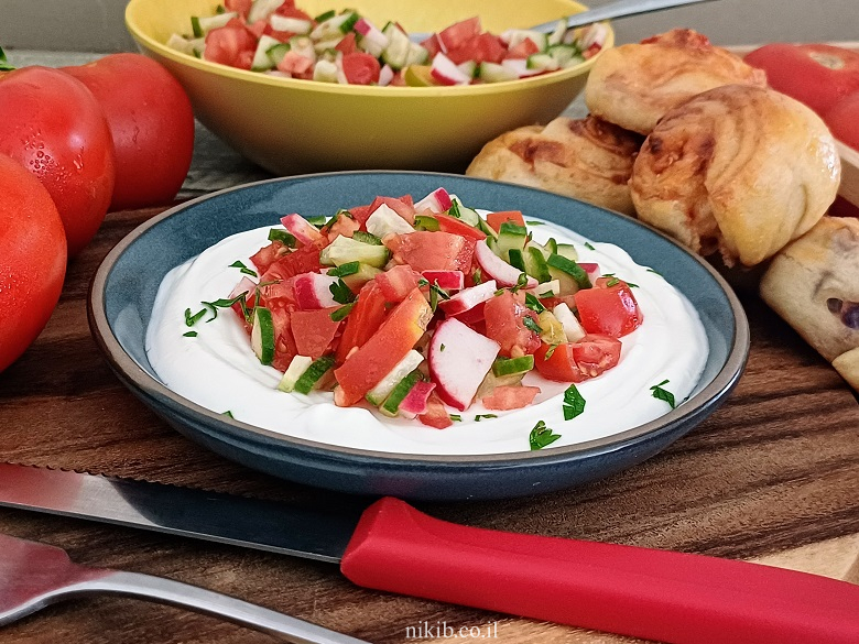 מטבל שמנת חמוצה ומיונז