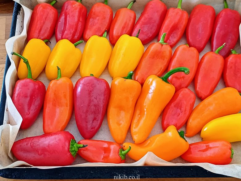 פלפלונים ממולאים בגבינה פלפלונים ממולאים בגבינה