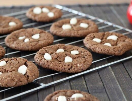 עוגיות שוקולד צ'יפס לפסח